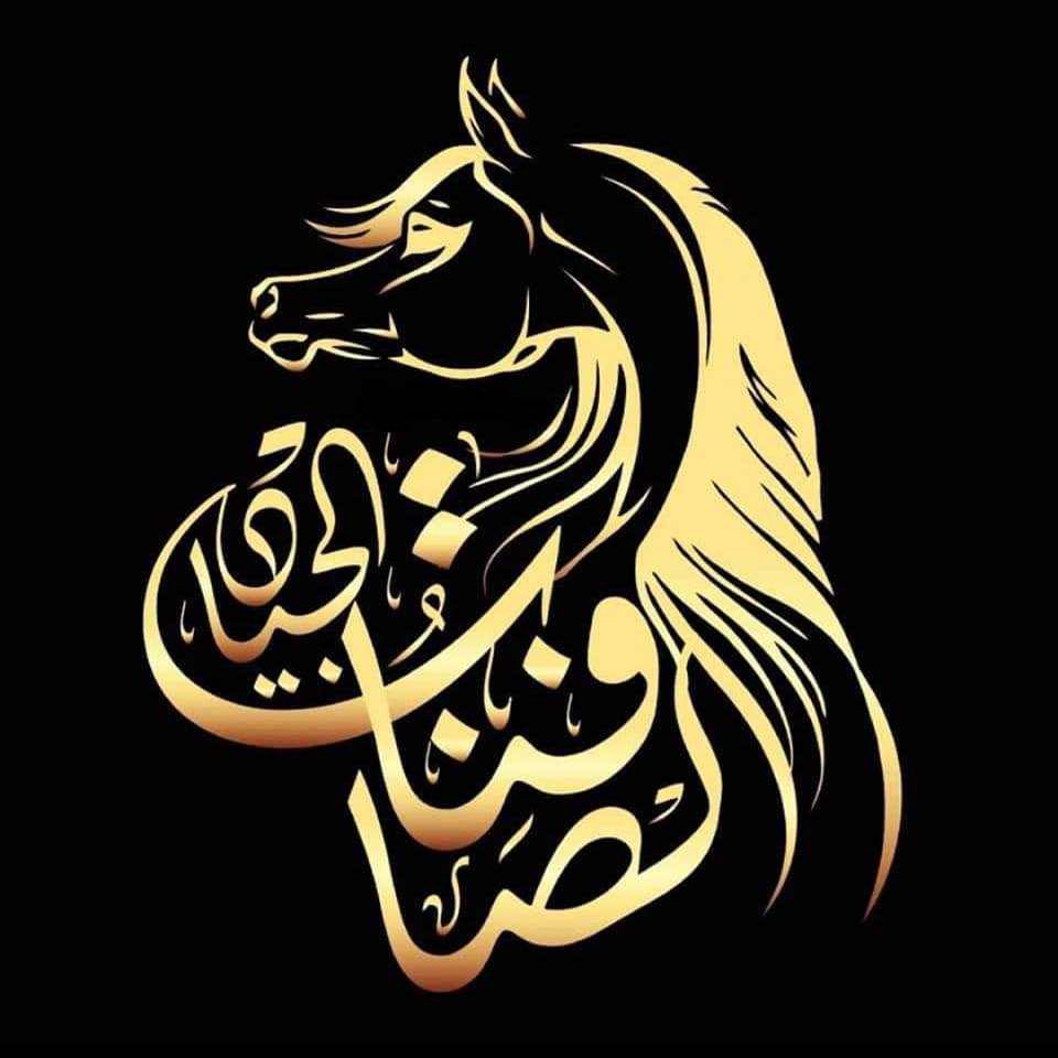 شركة الصافنات